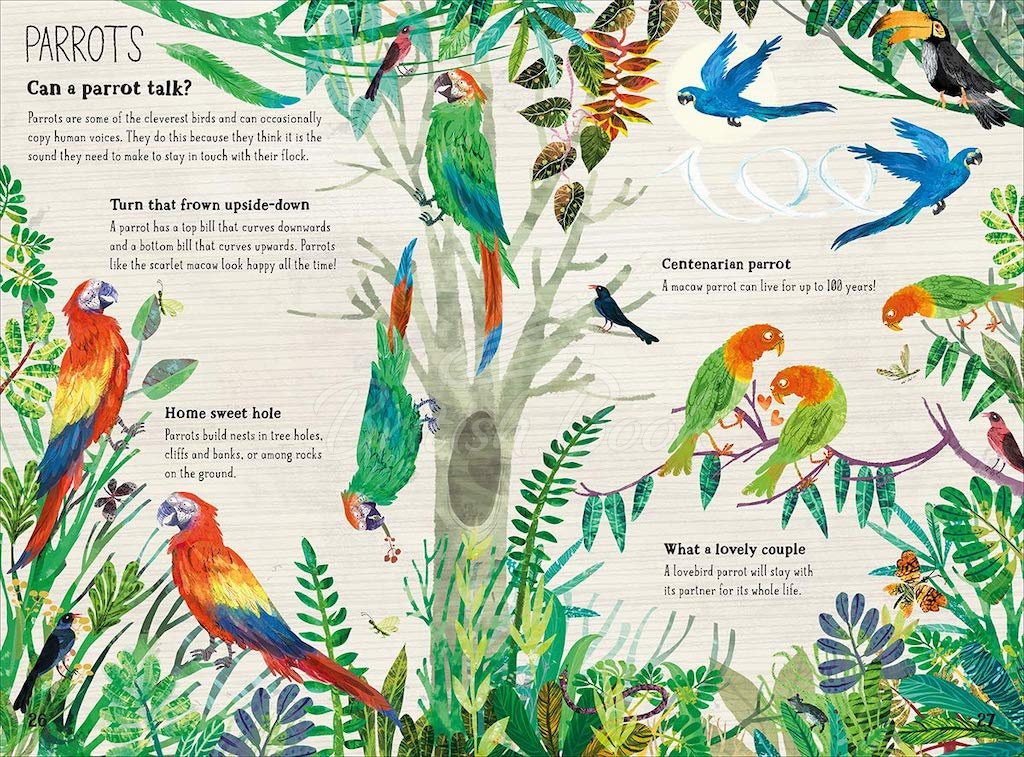 Книга The Big Book of Birds зображення 6
