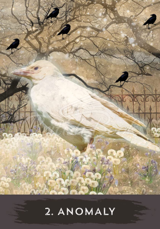 Карти таро Urban Crow Oracle зображення 2