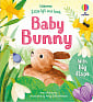 Little Lift and Look: Baby Bunny