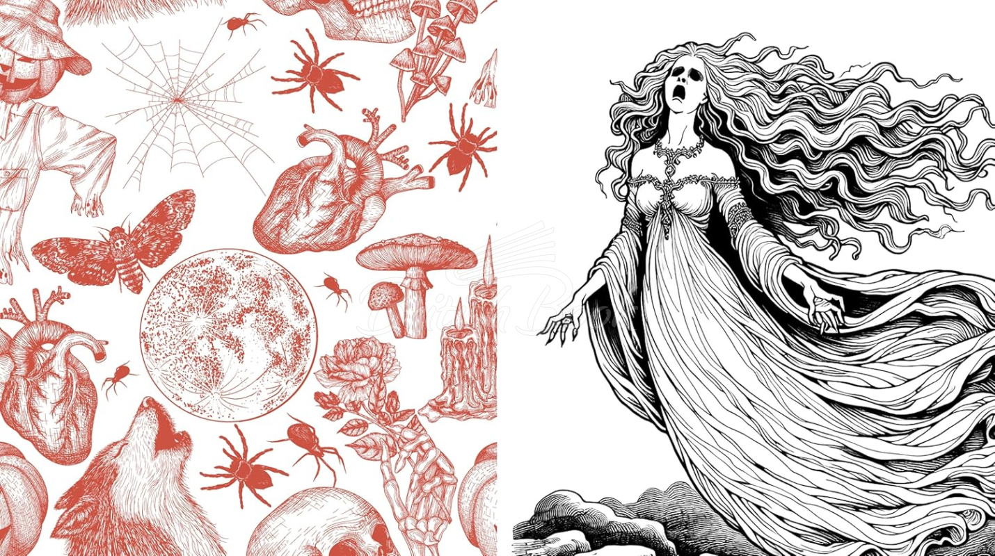 Книга Monsters of Myth and Legend Coloring Book зображення 2