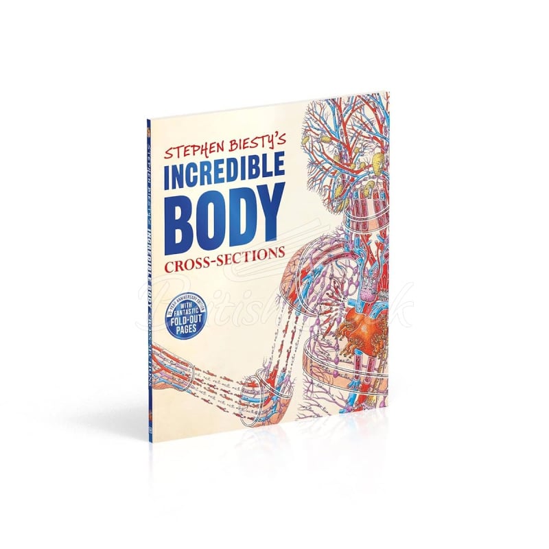 Книга Stephen Biesty's Incredible Body Cross-Sections изображение 4
