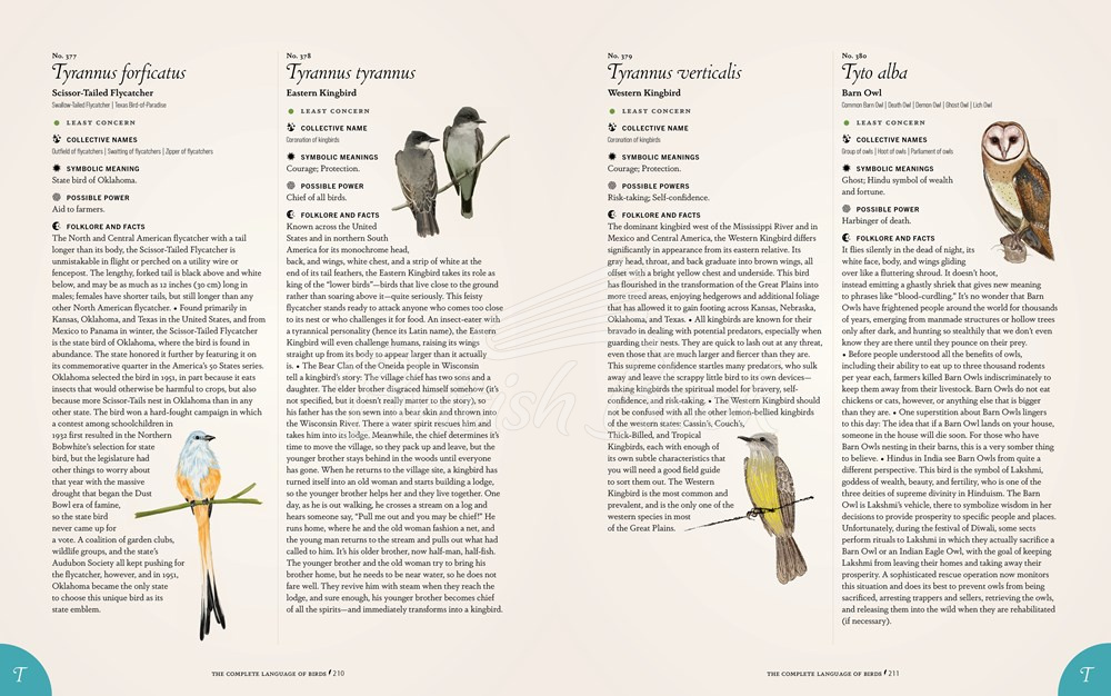 Книга The Complete Language of Birds изображение 11