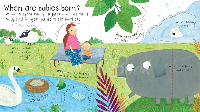 Книга Lift-the-Flap First Questions and Answers: Where Do Babies Come from? изображение 2