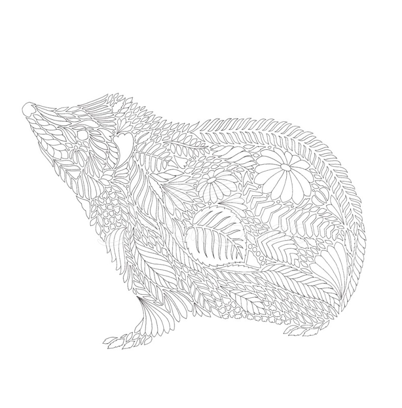 Книга Millie Marotta's Woodland Wild изображение 5