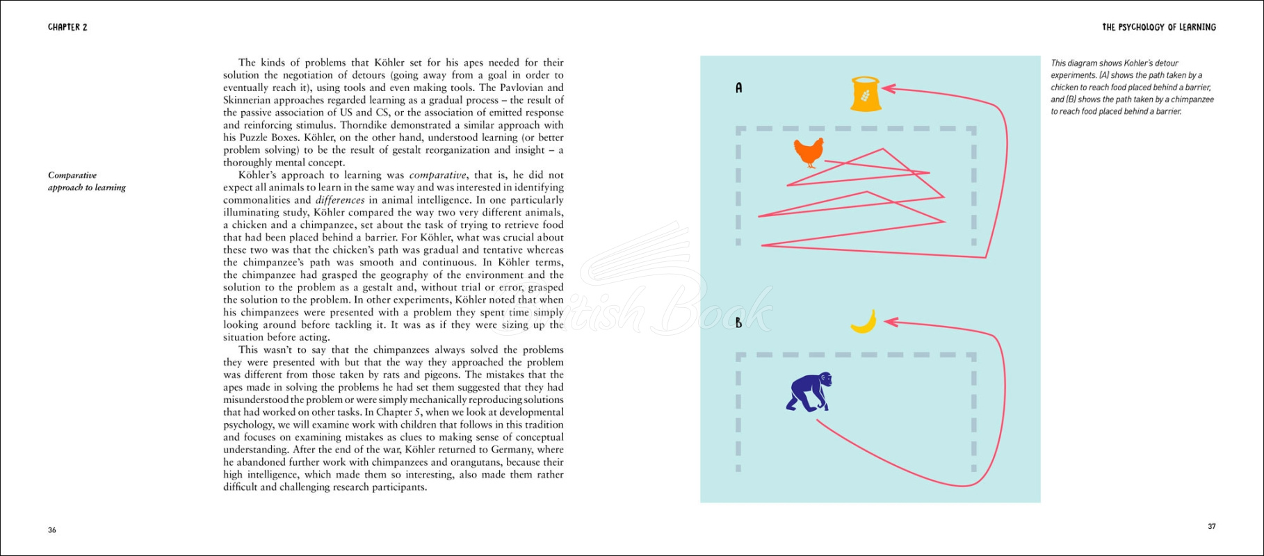 Книга A Degree in a Book: Psychology зображення 5