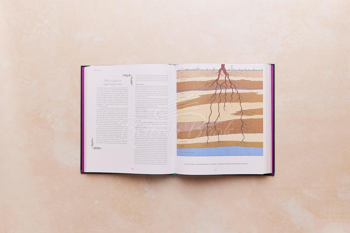 Книга One Thousand Vines: A New Way to Understand Wine изображение 4