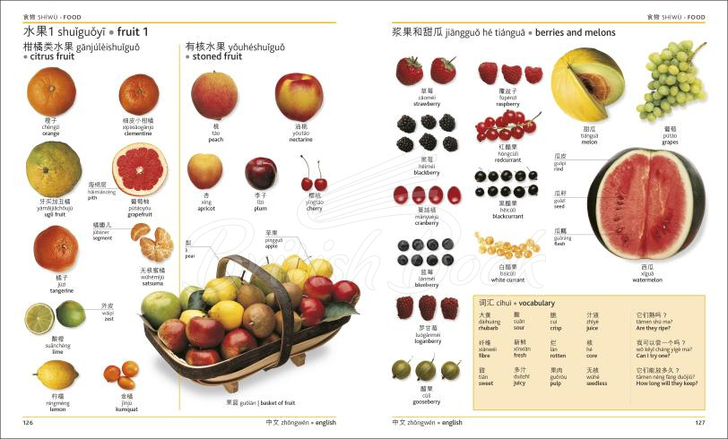 Книга Mandarin Chinese-English Bilingual Visual Dictionary изображение 3