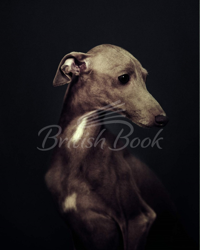 Книга The Dogs: Human Animals изображение 4
