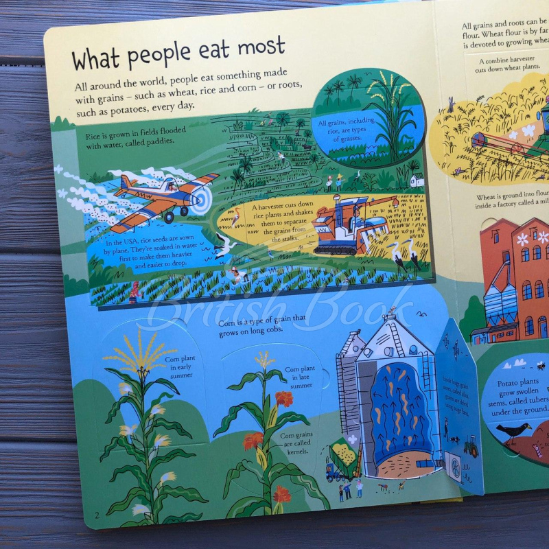 Книга See inside Where Food Comes From изображение 3