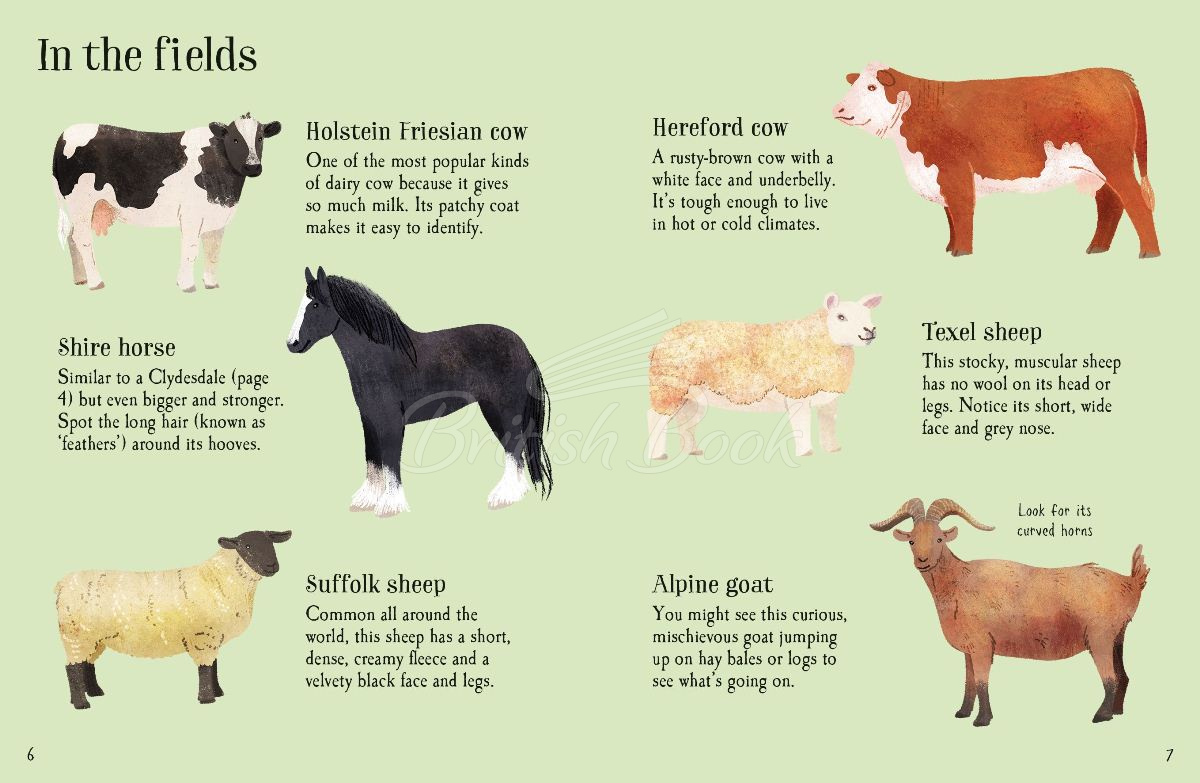 Книга Farm Animals to Spot изображение 1