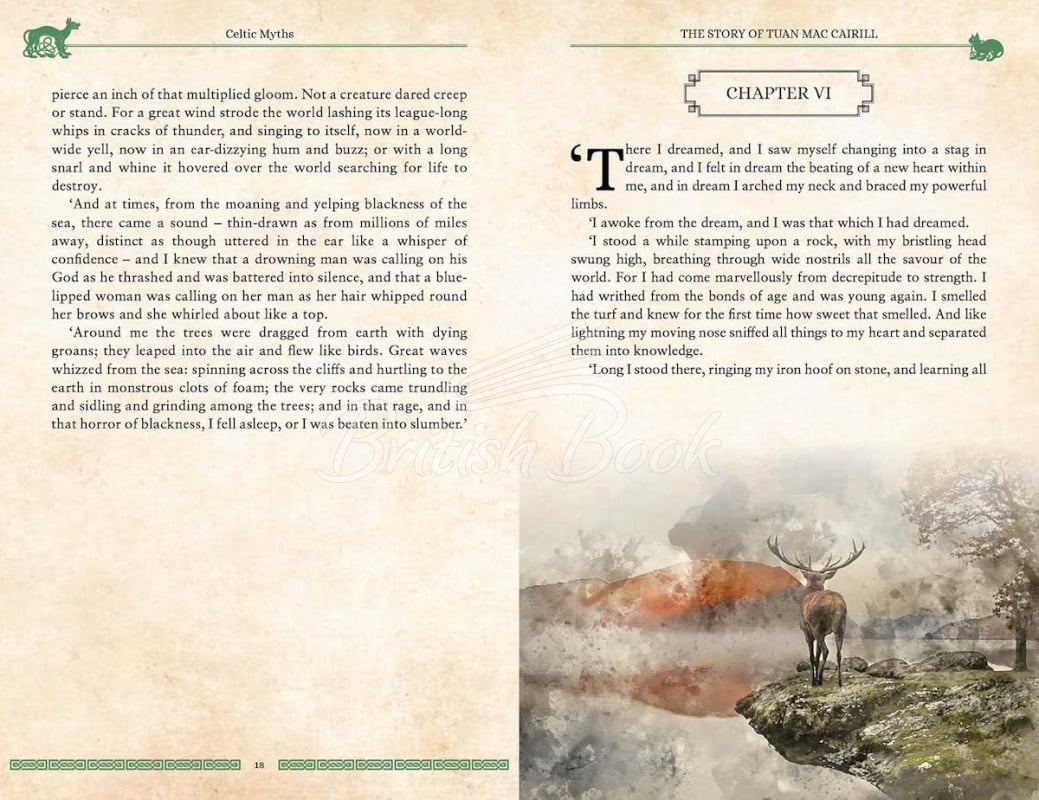 Книга Celtic Myths: Legendary Tales of Gods and Heroes зображення 5