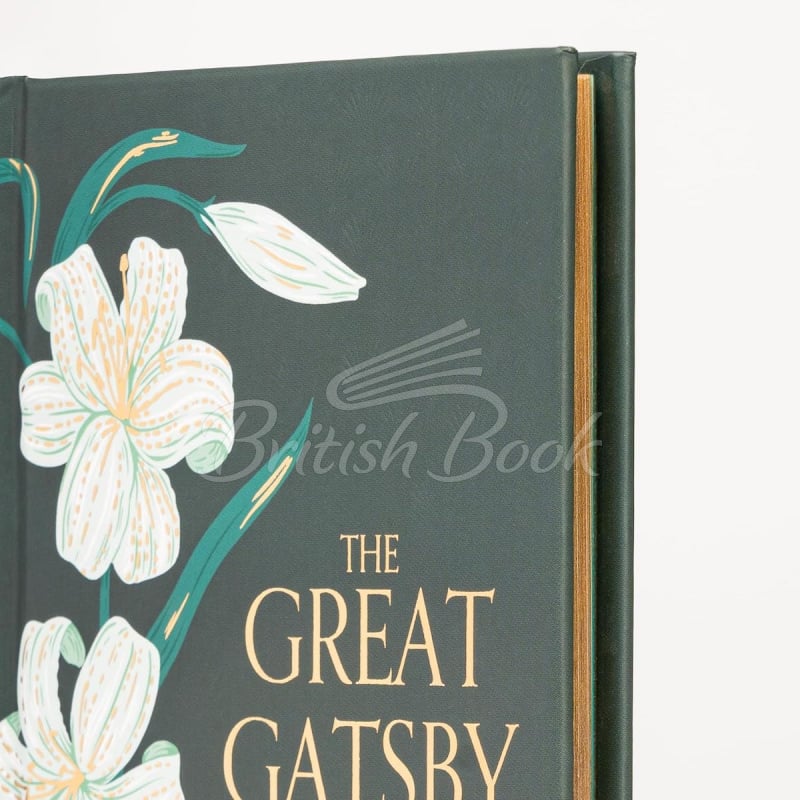 Книга The Great Gatsby изображение 1