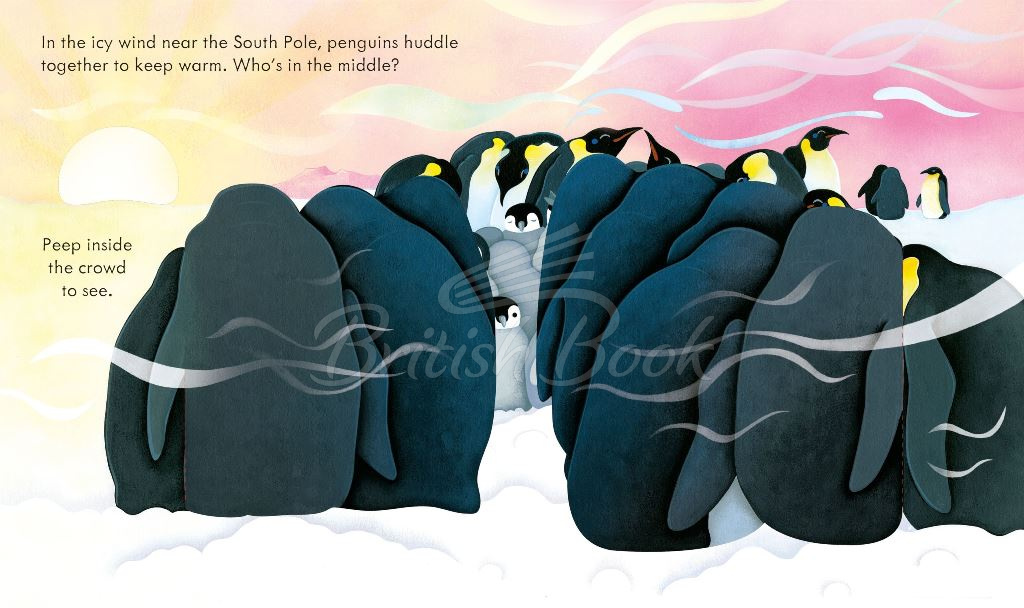 Книга Peep inside Snowy Places зображення 3