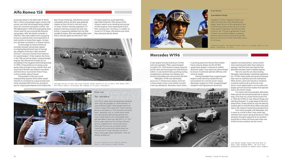 Книга Formula 1: Drive to Survive: Unofficial Companion зображення 3