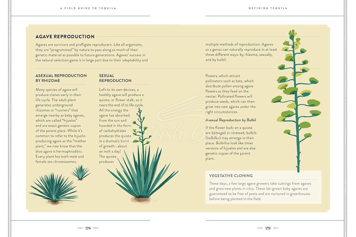 Книга A Field Guide to Tequila изображение 2