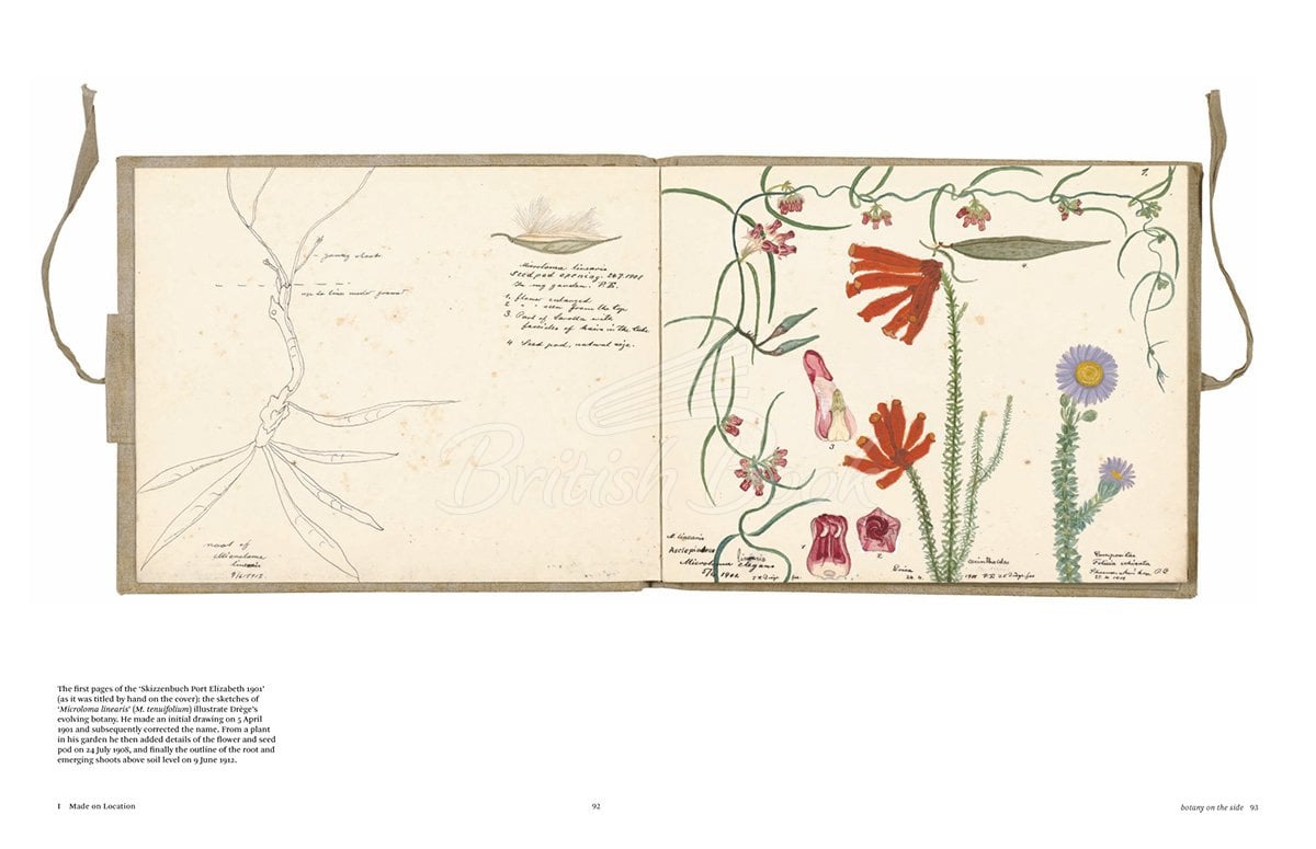 Книга Botanical Sketchbooks изображение 6