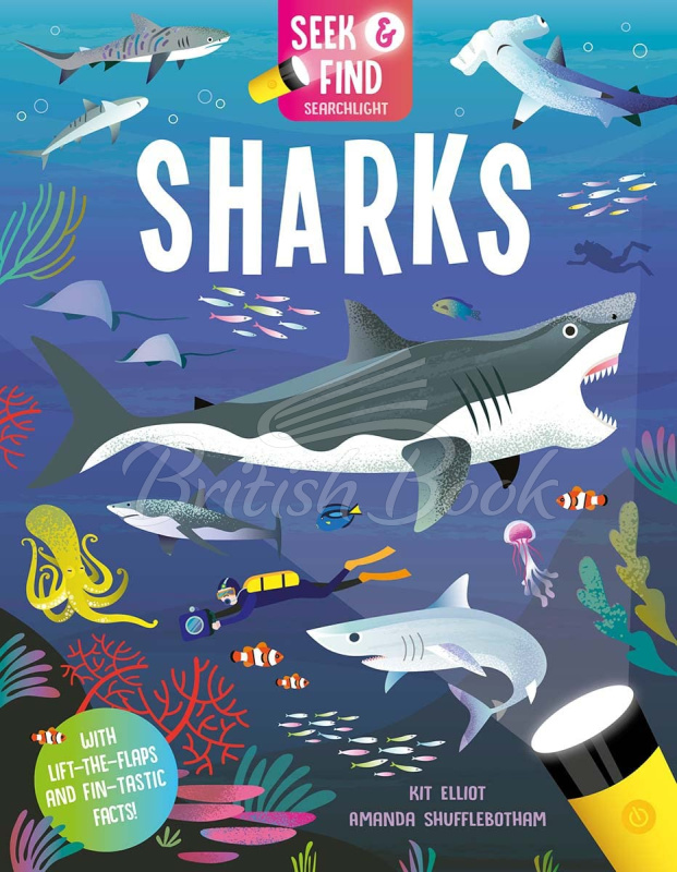 Книга Seek and Find Searchlight: Sharks зображення