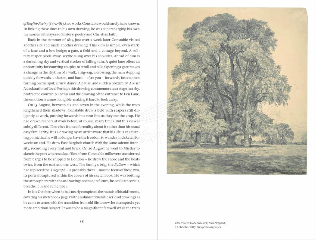 Книга Constable's Year: An Artist in Changing Seasons изображение 10