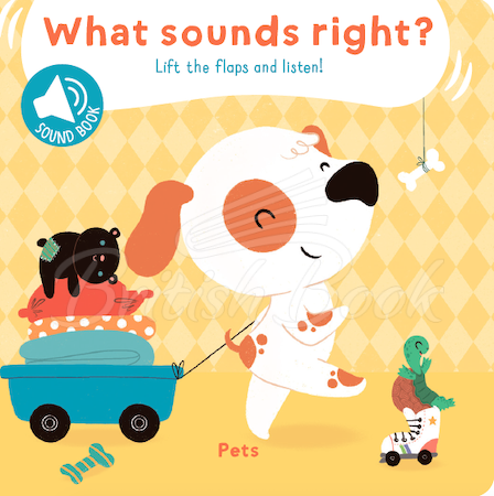 Книга What Sounds Right? Pets зображення