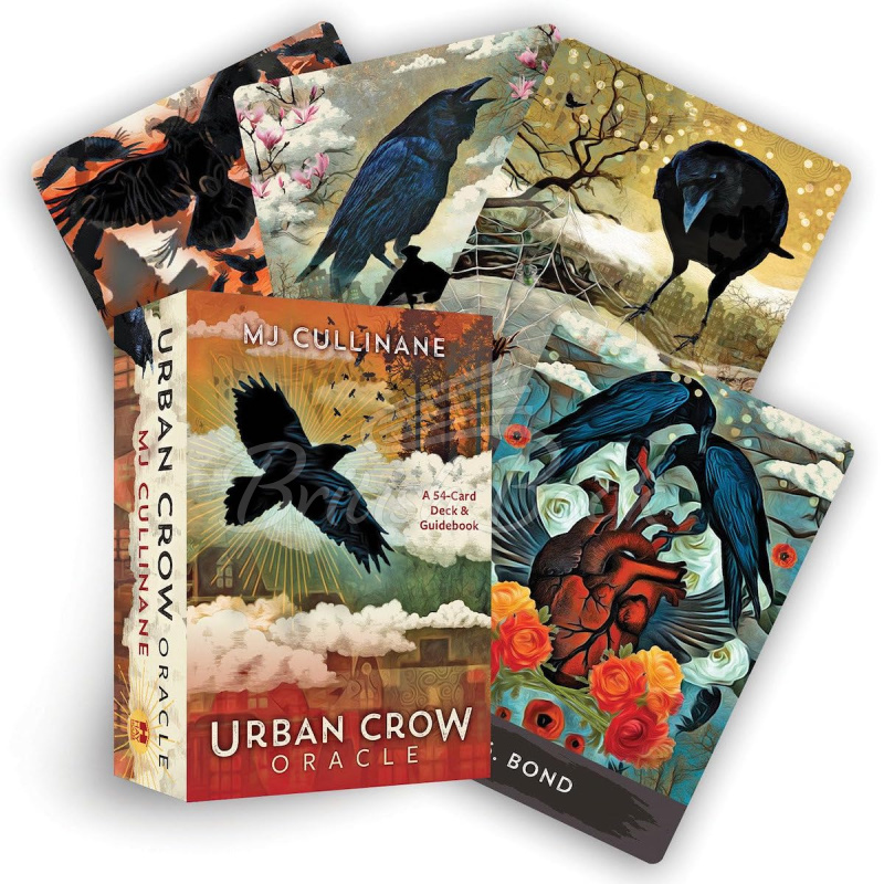 Карти таро Urban Crow Oracle зображення 1