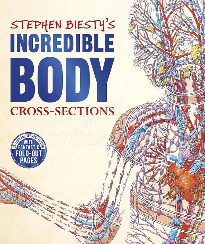 Книга Stephen Biesty's Incredible Body Cross-Sections зображення