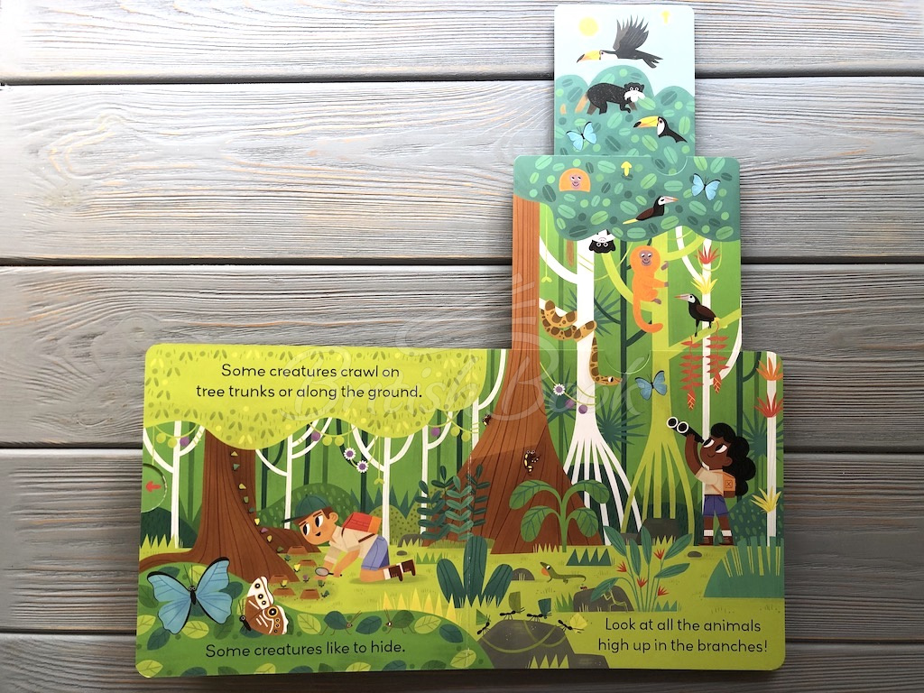 Книга Little World- Jungle Journey зображення 3