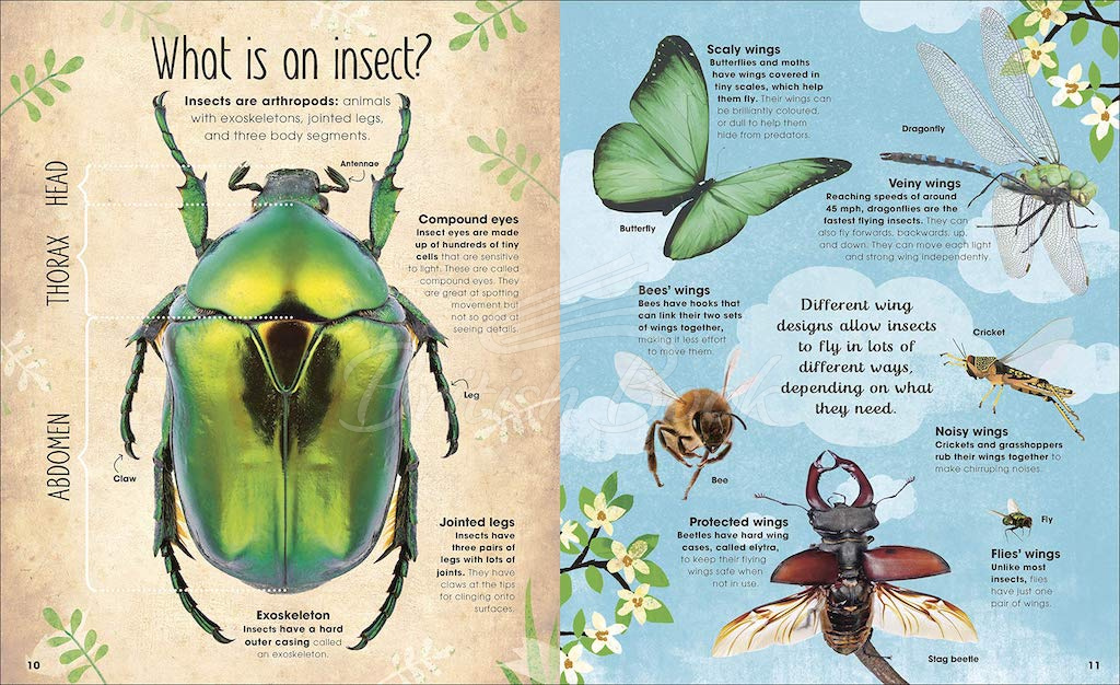 Книга The Book of Brilliant Bugs изображение 2