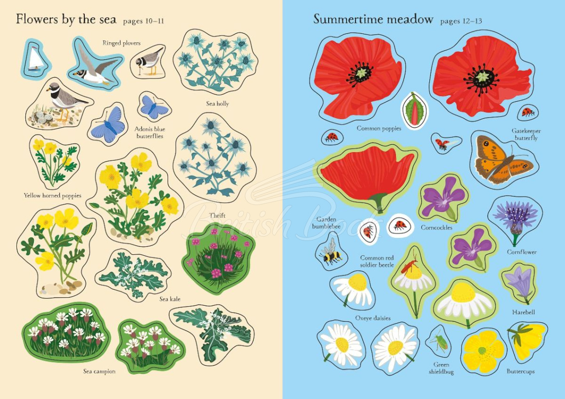 Книга Little First Stickers: Wildflowers зображення 3