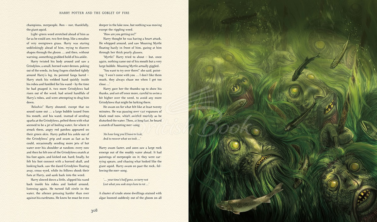 Книга Harry Potter and the Goblet of Fire (Illustrated Edition) изображение 9