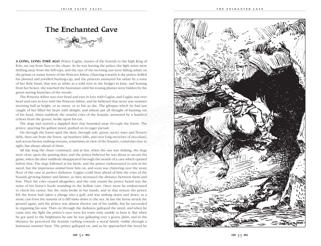 Книга Irish Fairy Tales зображення 5