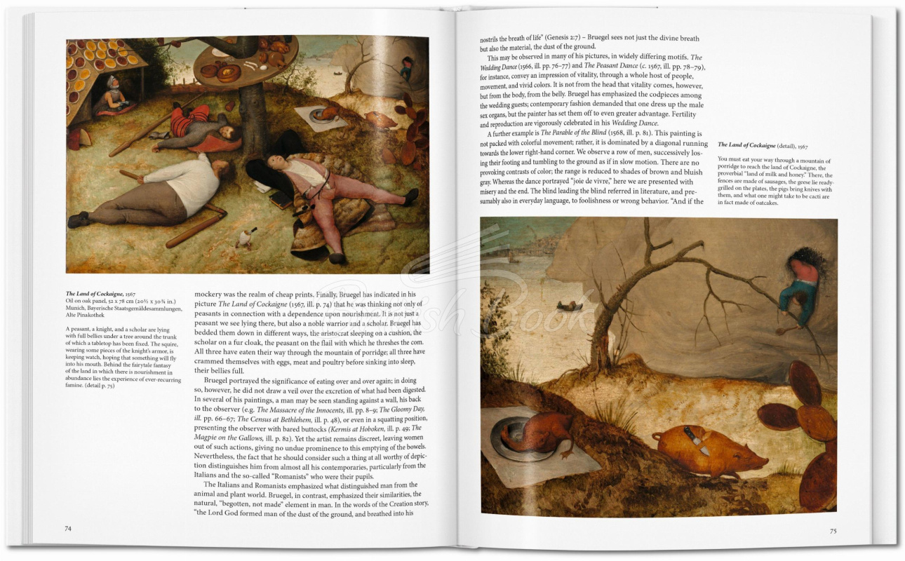 Книга Bruegel зображення 5