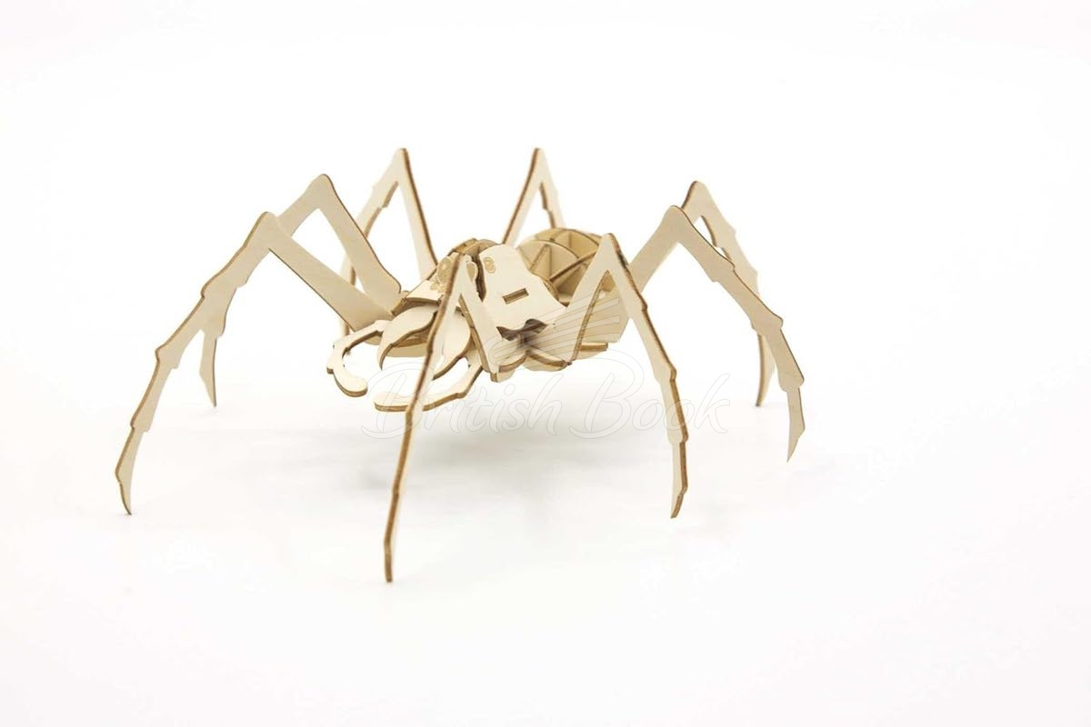 Збірна модель IncrediBuilds: Harry Potter: Aragog зображення 1
