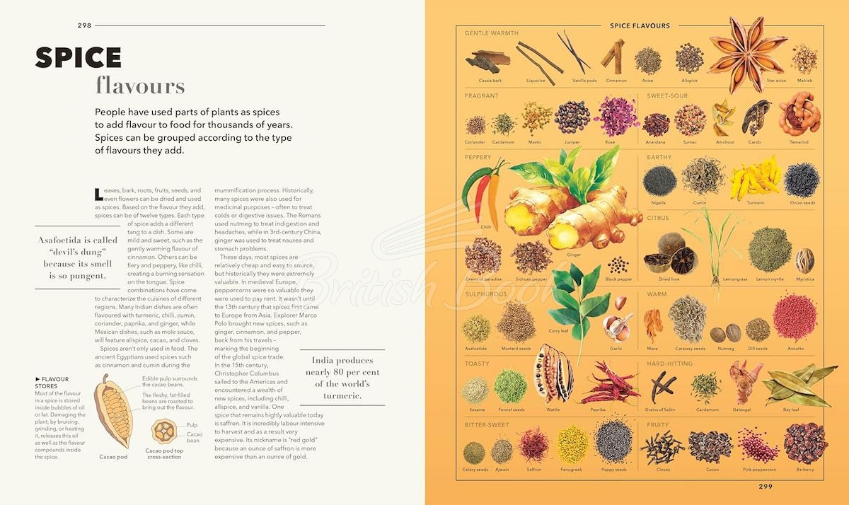 Книга Knowledge: A Visual Compendium изображение 13