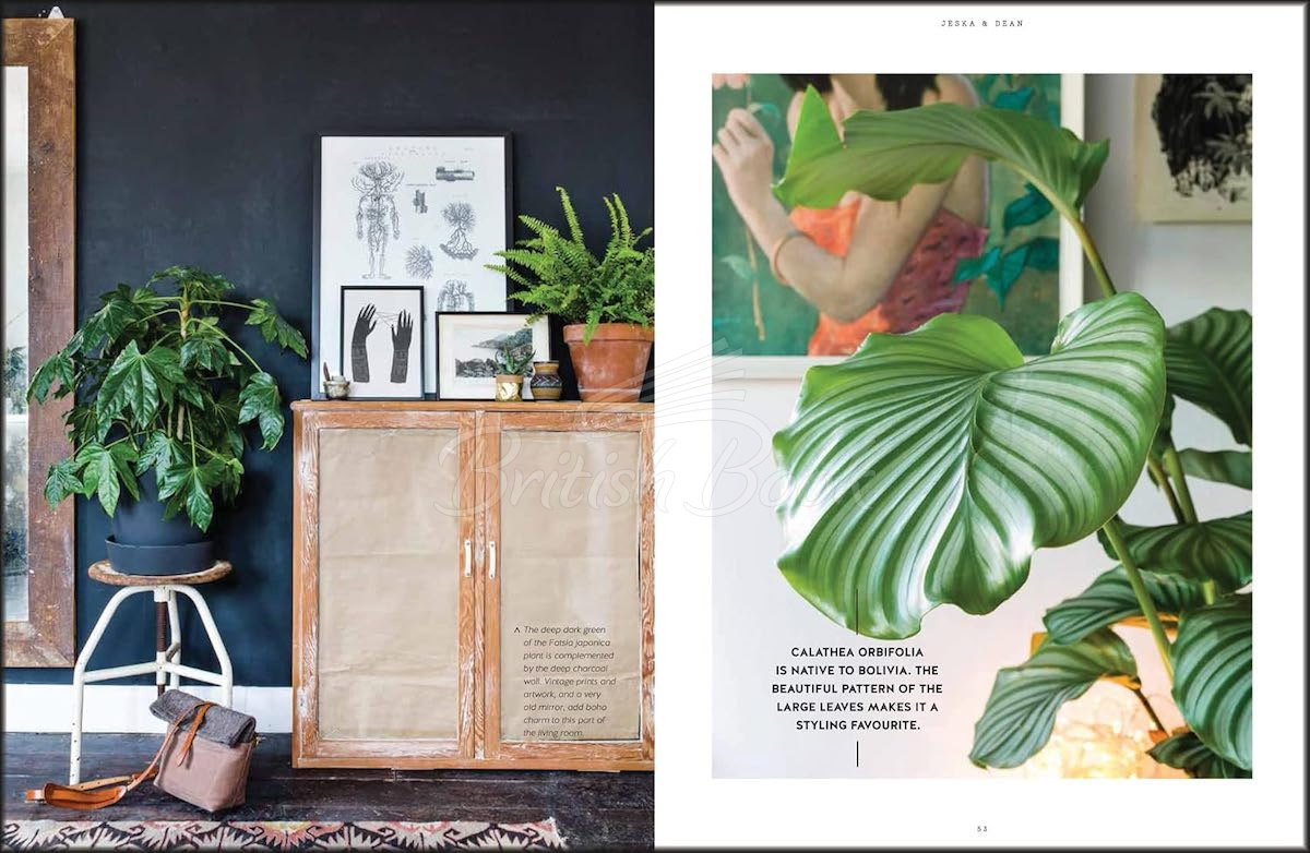 Книга Urban Jungle: Living and Styling with Plants зображення 4