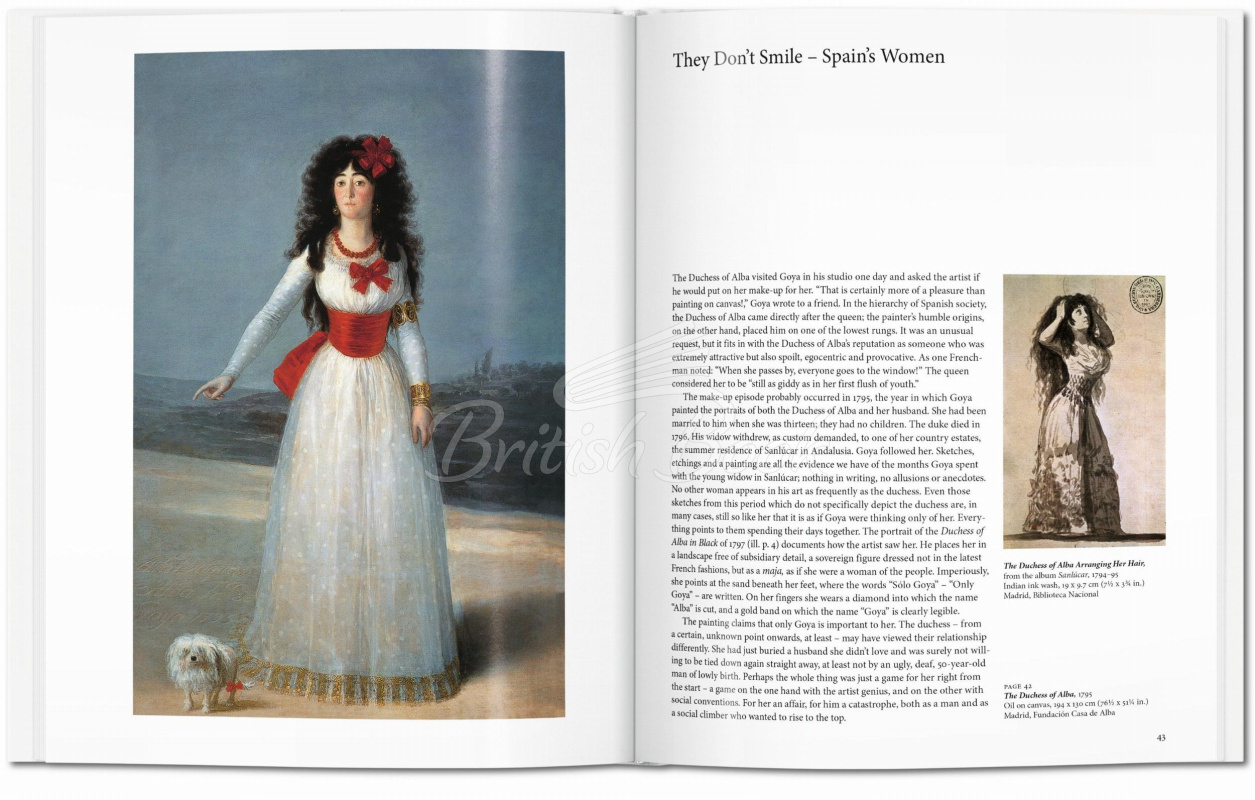 Книга Goya зображення 3