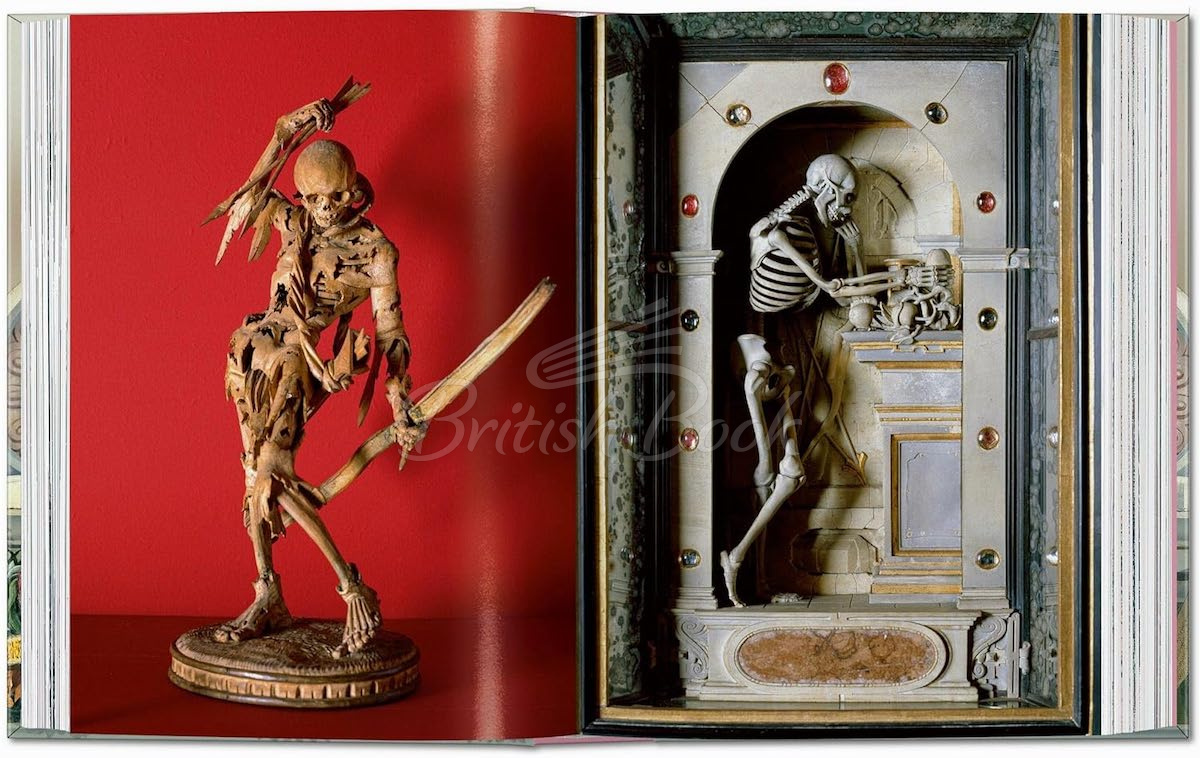 Книга Massimo Listri. Cabinet of Curiosities изображение 2