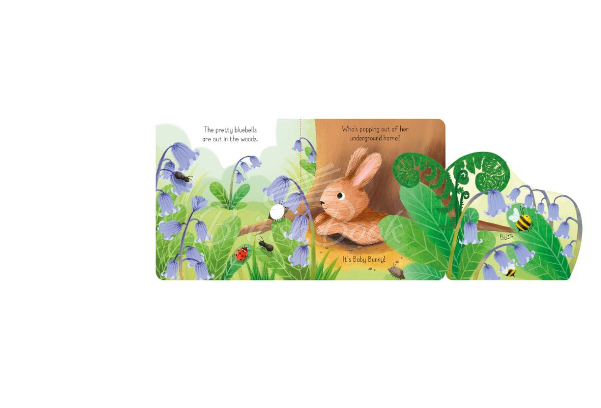 Книга Little Lift and Look: Baby Bunny зображення 1