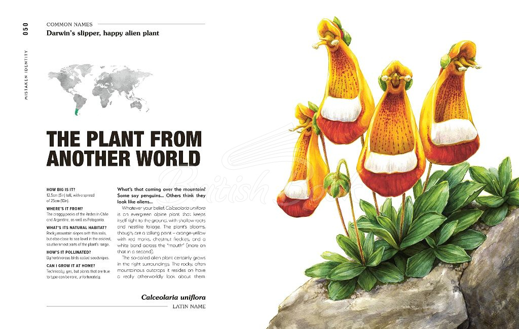 Книга Hortus Curious: Discover the World's Most Weird and Wonderful Plants and Fungi зображення 4