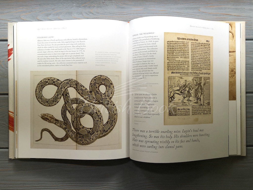Книга Harry Potter: A History of Magic – The Book of the Exhibition изображение 4