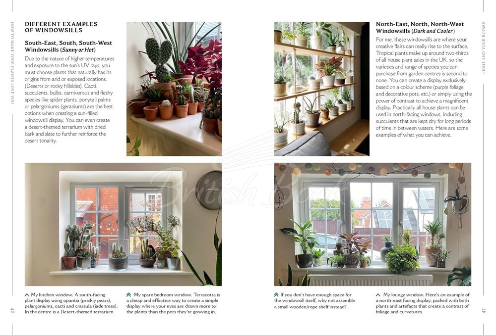 Книга How to Make Your Houseplants Love You: Expert Answers for Plant Parents зображення 2
