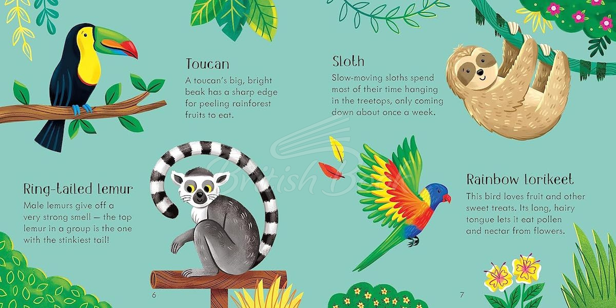 Настольная игра Zoo Matching Games and Book изображение 7