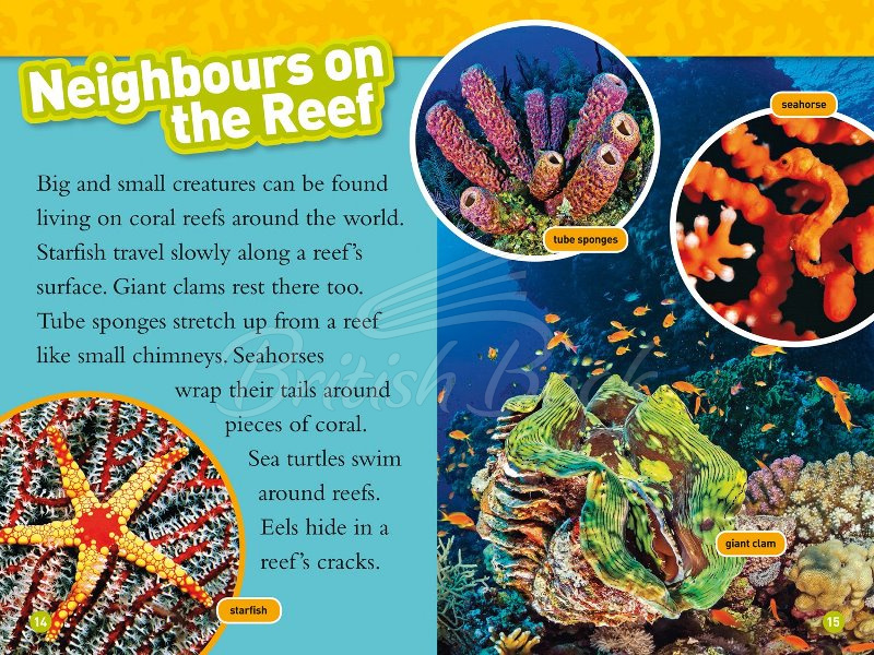 Книга Coral Reefs зображення 3