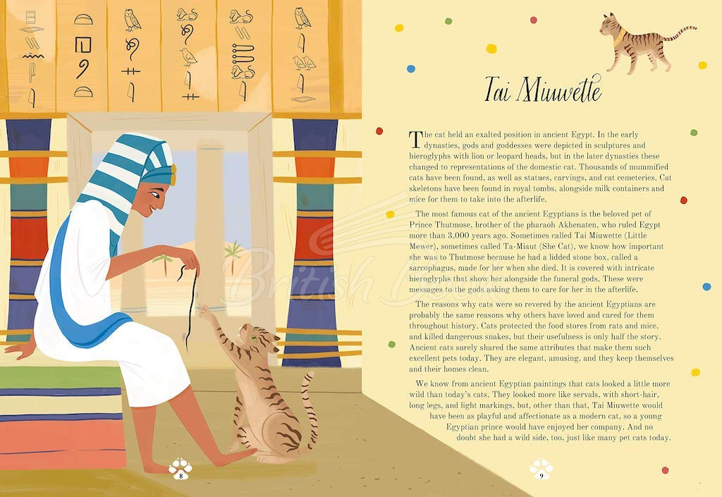 Книга Cat Tales: True Stories of Fantastic Felines изображение 2