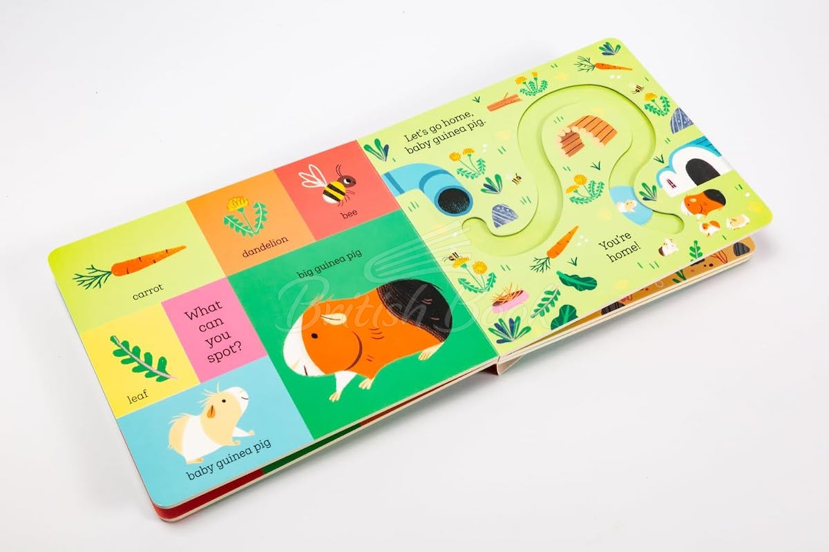 Книга Let's Go Home, Baby Puppy зображення 5