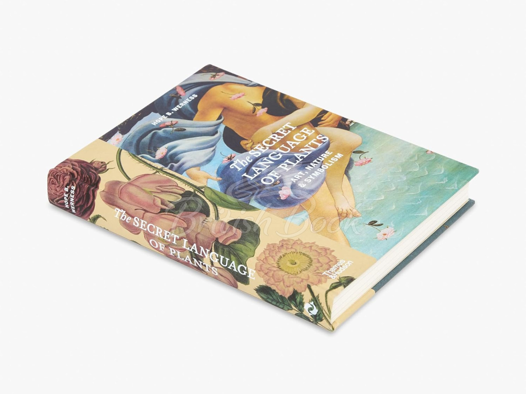 Книга The Secret Language of Plants: Art, Nature & Symbolism зображення 1