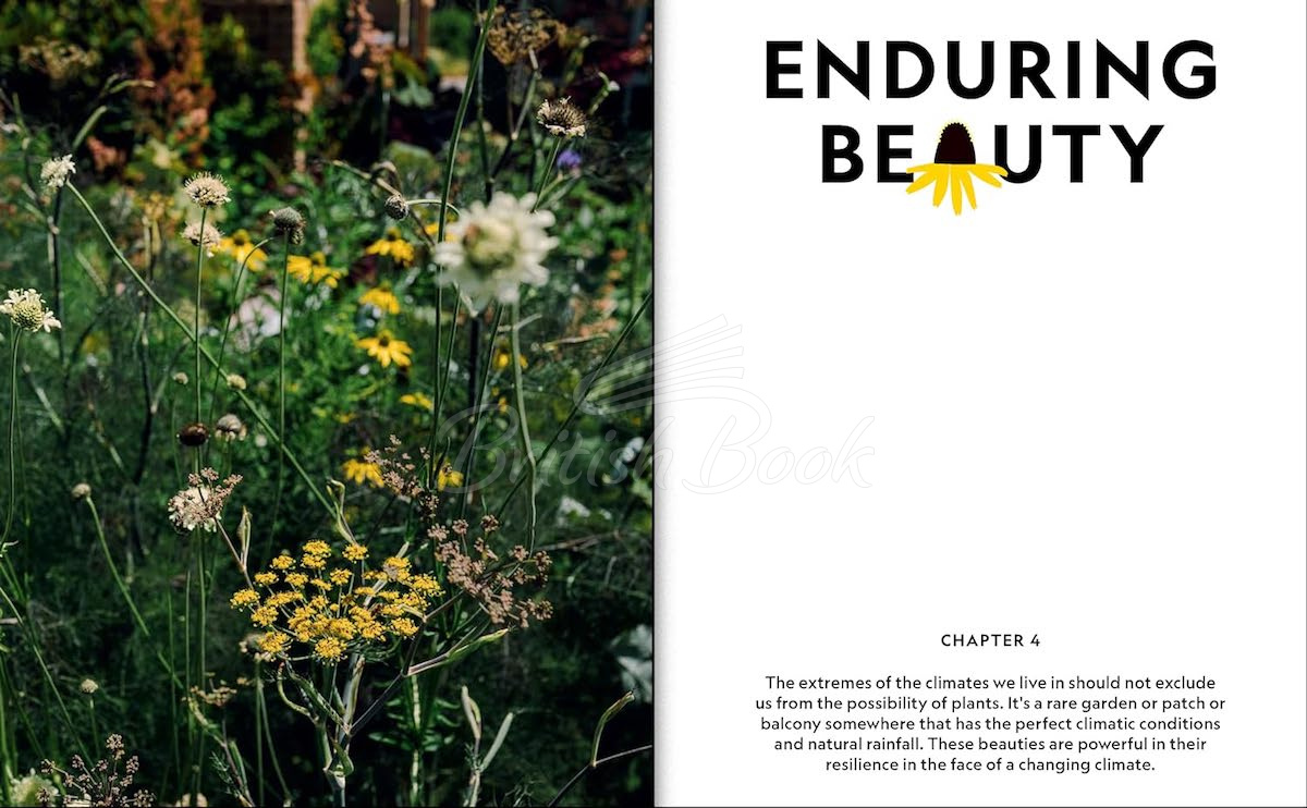 Книга The Super Bloom Handbook зображення 6