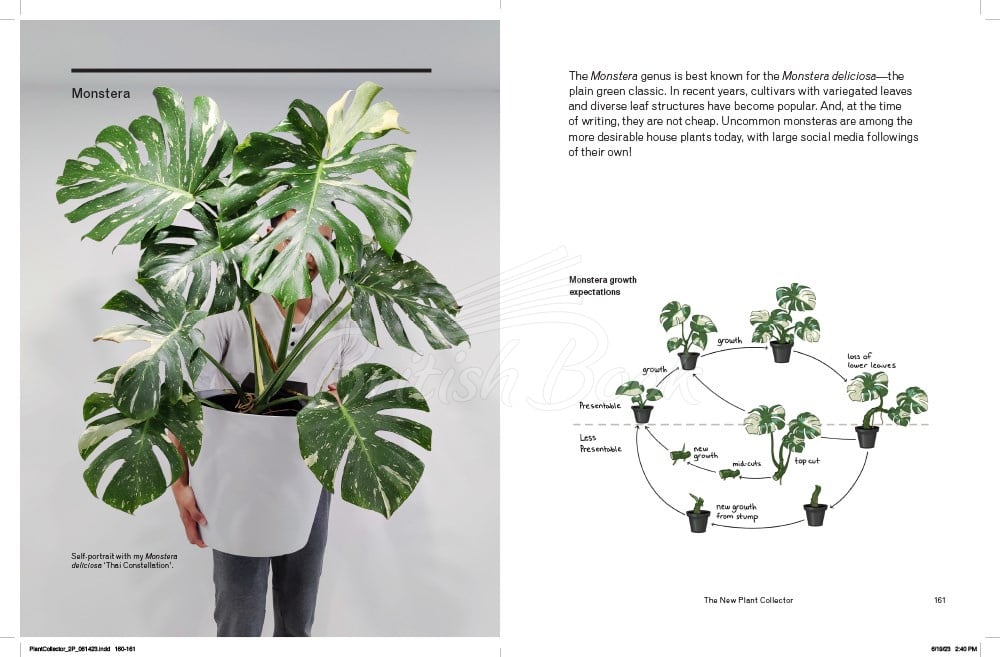 Книга The New Plant Collector зображення 6