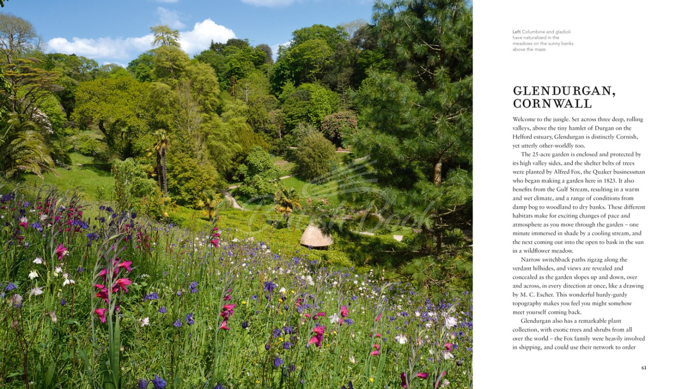 Книга Wild Gardens изображение 2