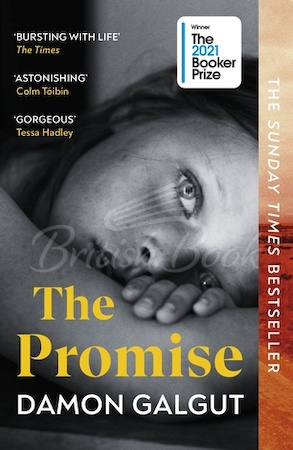 Книга The Promise зображення