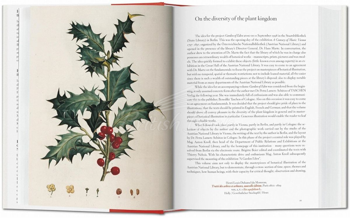 Книга A Garden Eden: Masterpieces of Botanical Illustration изображение 2